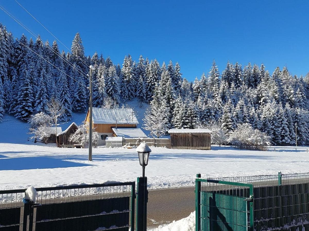 Ferienwohnungen Blockhaus - Zwergenhaeusl Grünau im Almtal Extérieur photo