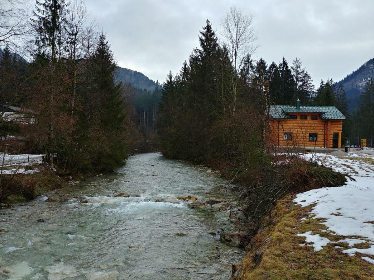 Ferienwohnungen Blockhaus - Zwergenhaeusl Grünau im Almtal Extérieur photo