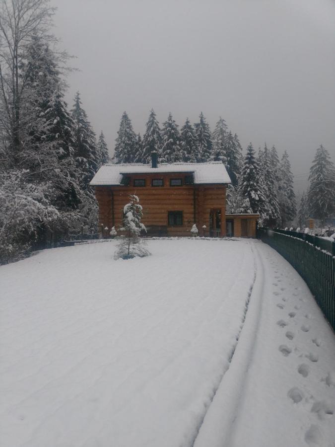 Ferienwohnungen Blockhaus - Zwergenhaeusl Grünau im Almtal Extérieur photo